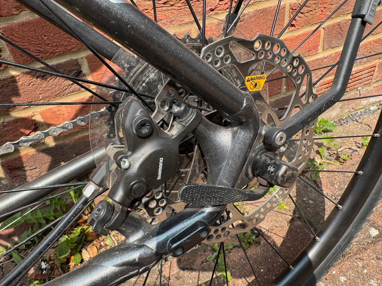 Trek Dual Sport 4 2019