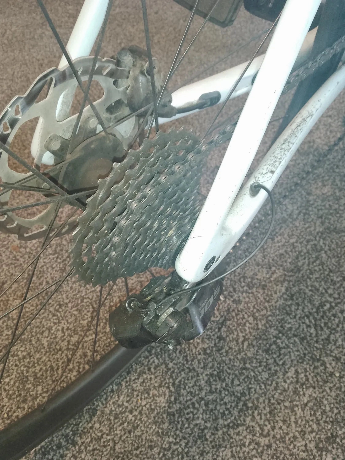 Trek Emonda 2024