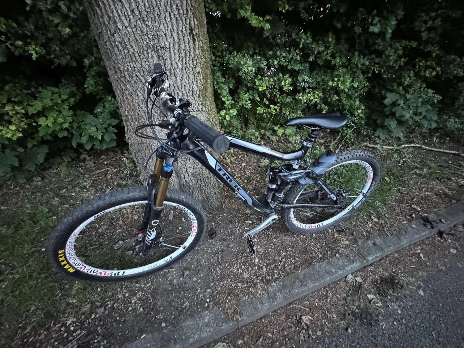 Trek Fuel EX 8 2009