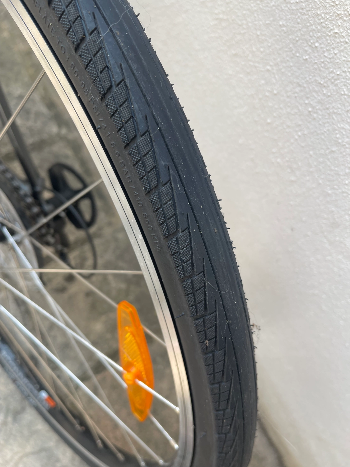Trek FX 1 2024
