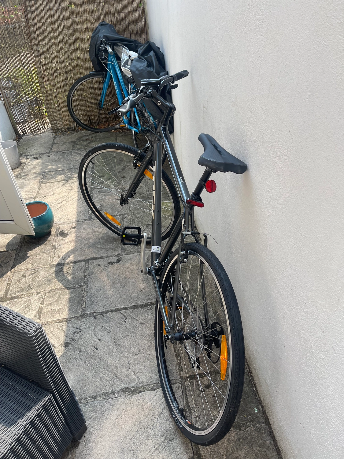 Trek FX 1 2024