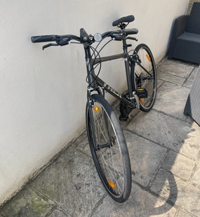 Trek FX 1 2024