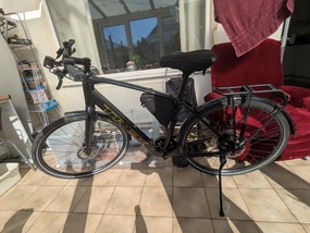 Trek FX  2 2023