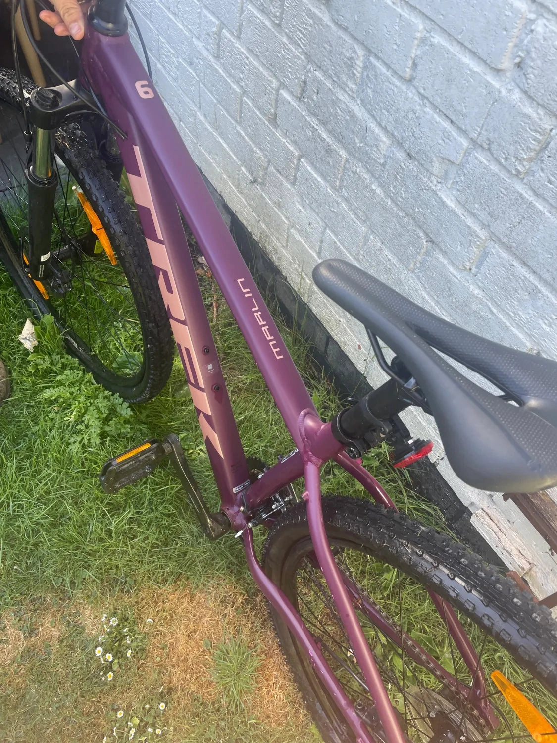 Trek Marlin 6 2021