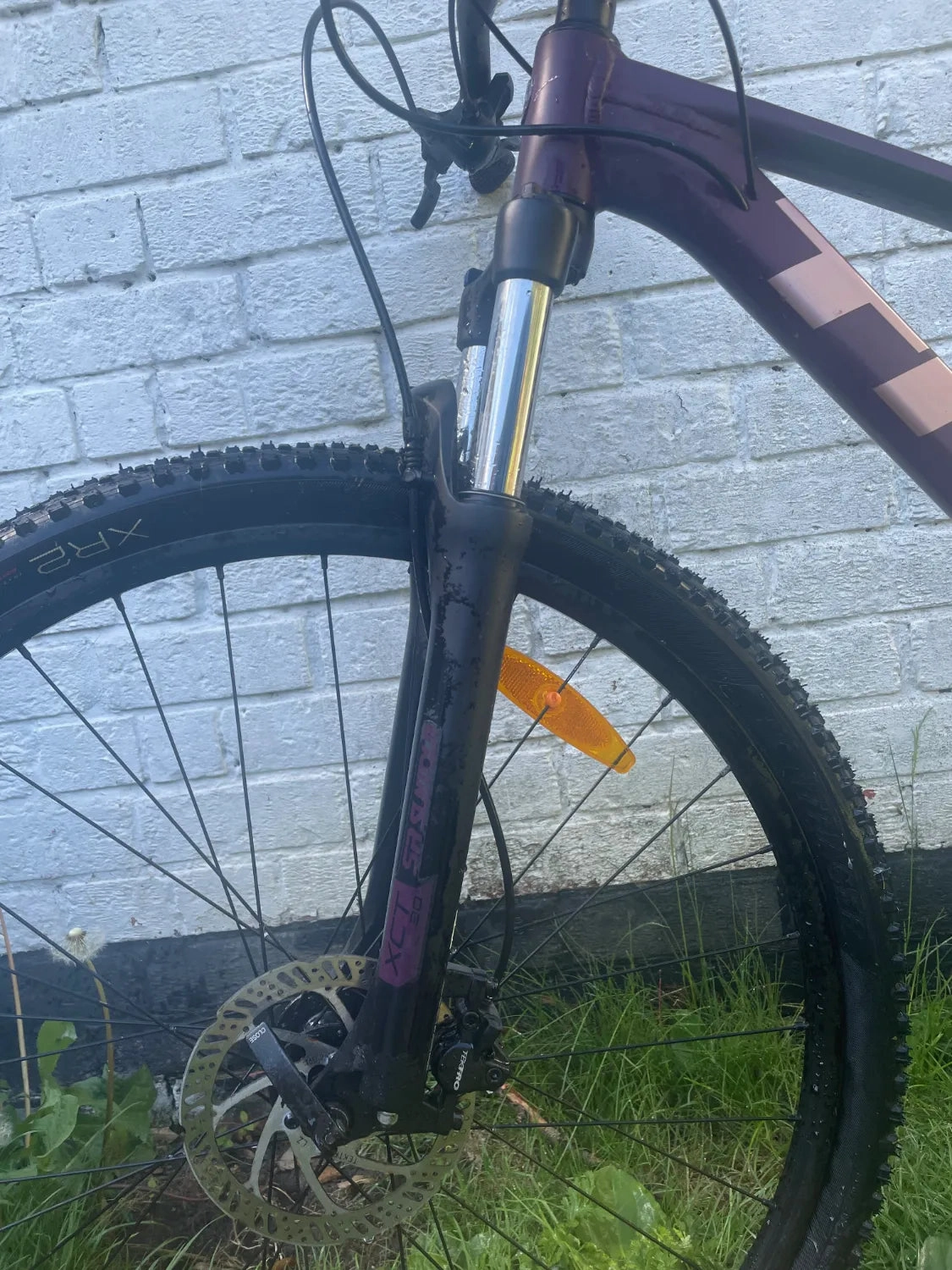 Trek Marlin 6 2021