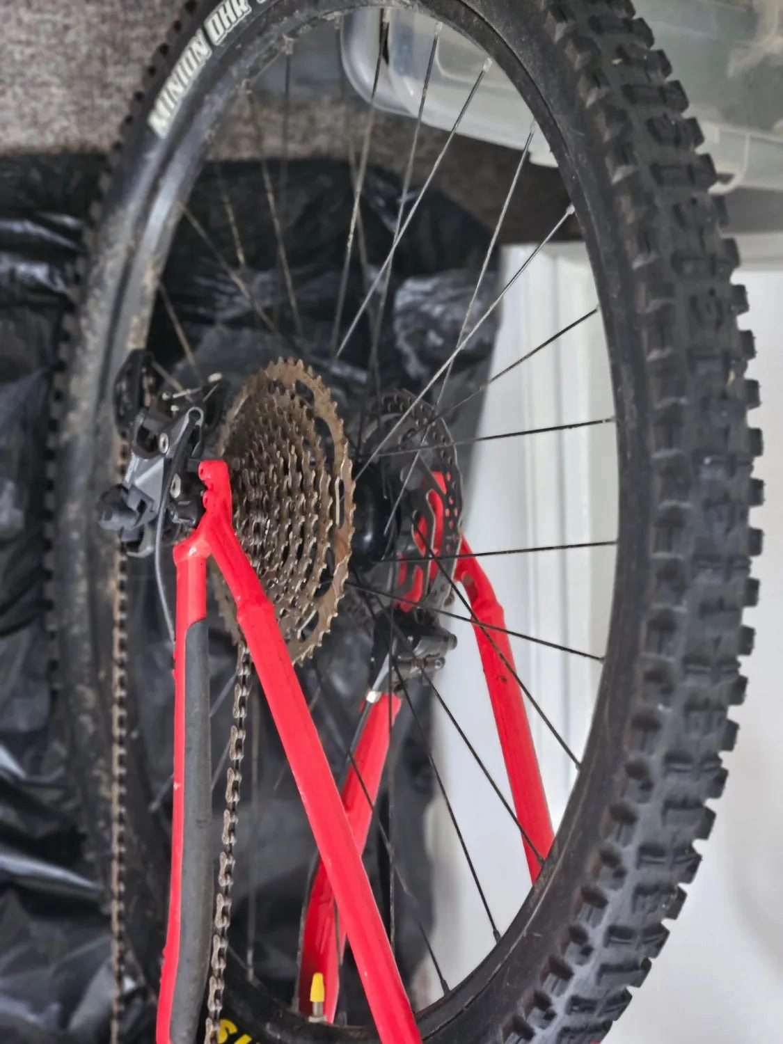 Trek Marlin 7 2021