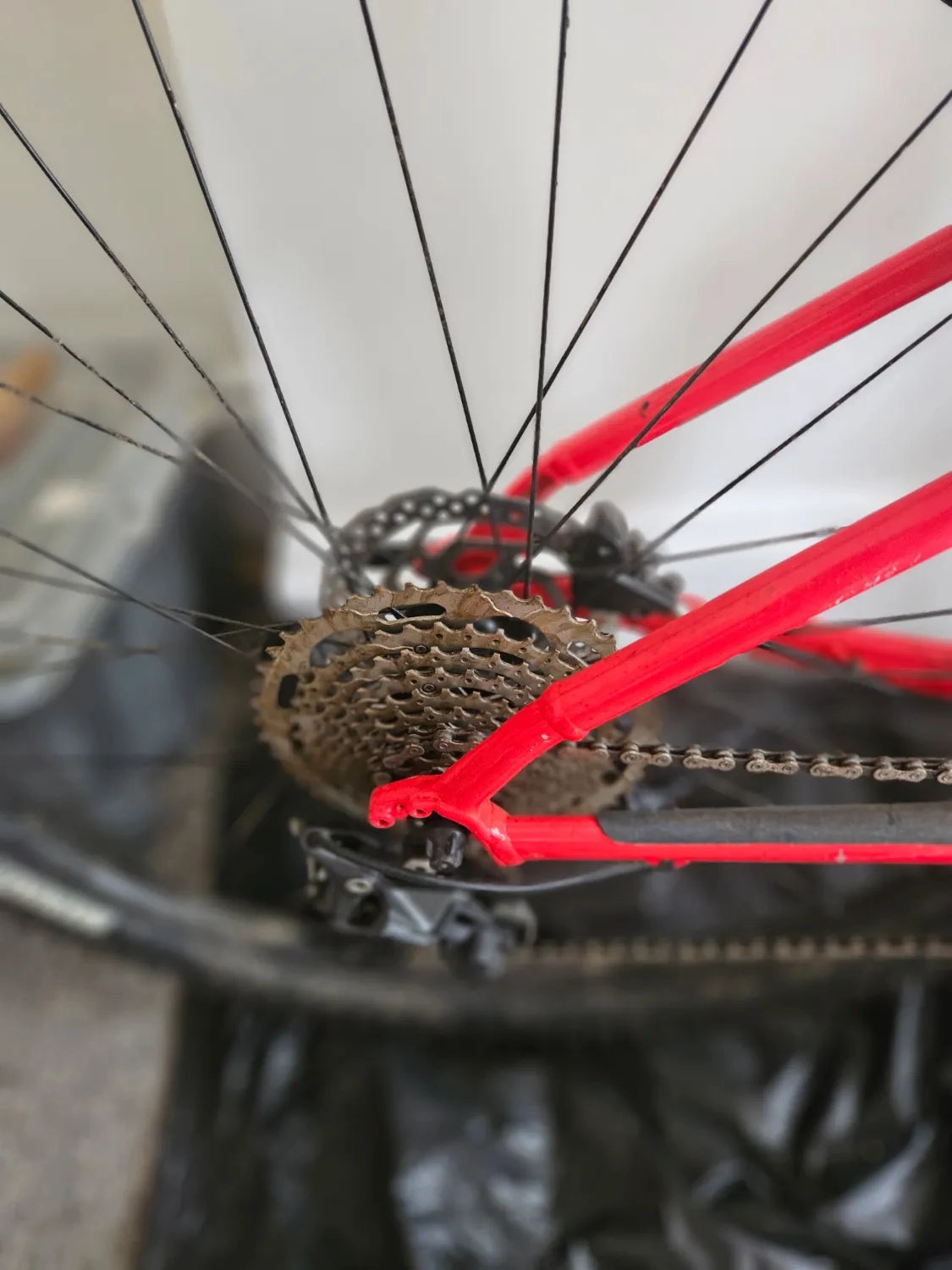 Trek Marlin 7 2021