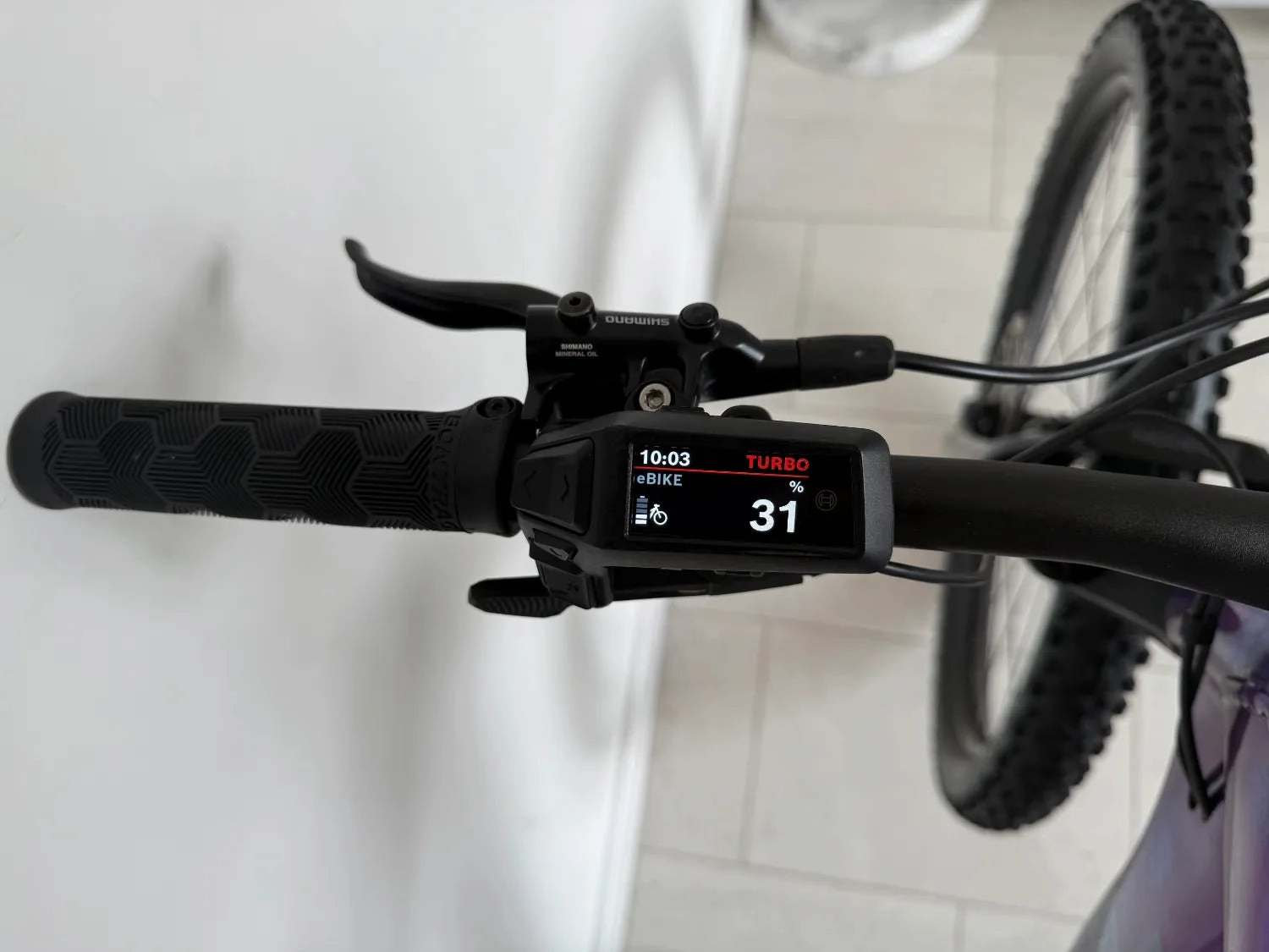 Trek Marlin  8 2024
