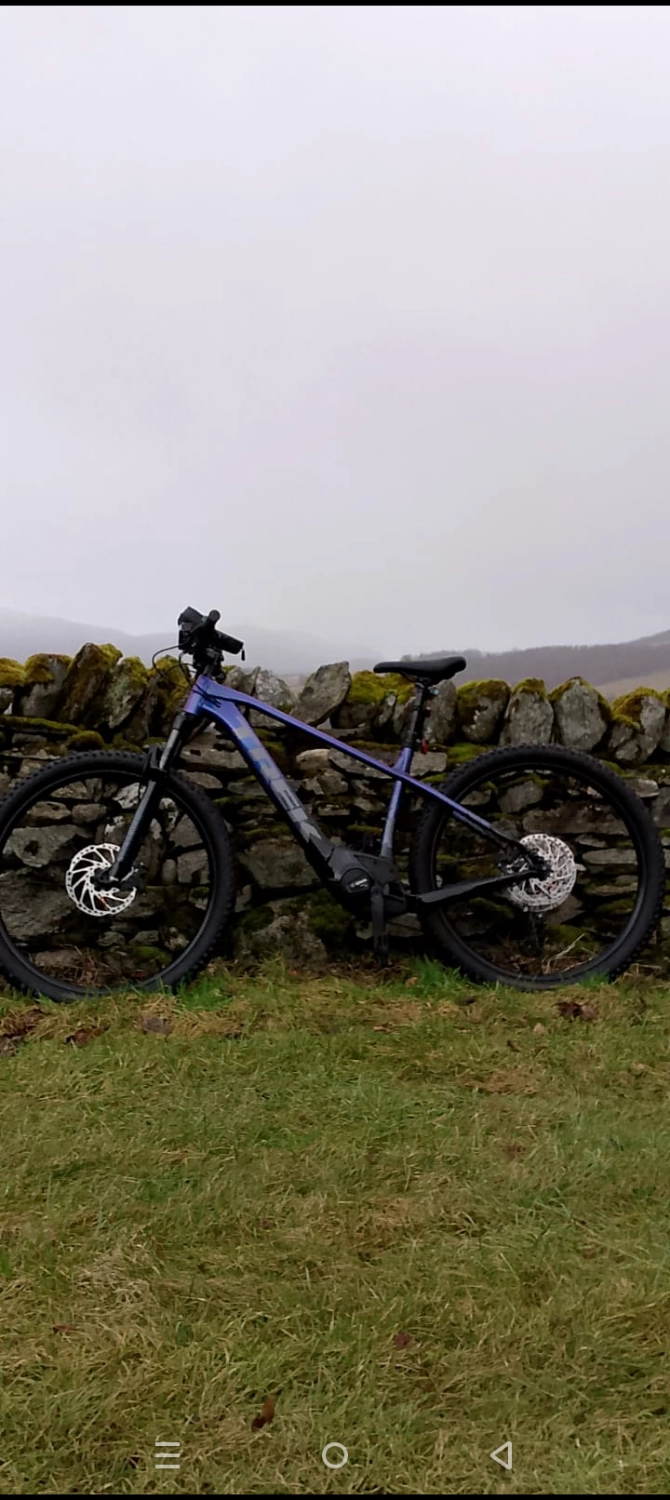 Trek Marlin 8 2024