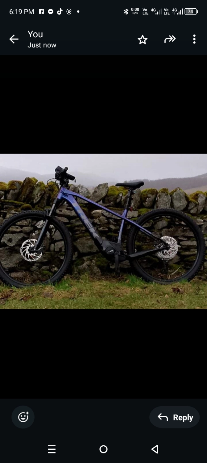 Trek Marlin 8 2024