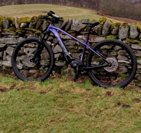 Trek Marlin 8 2024