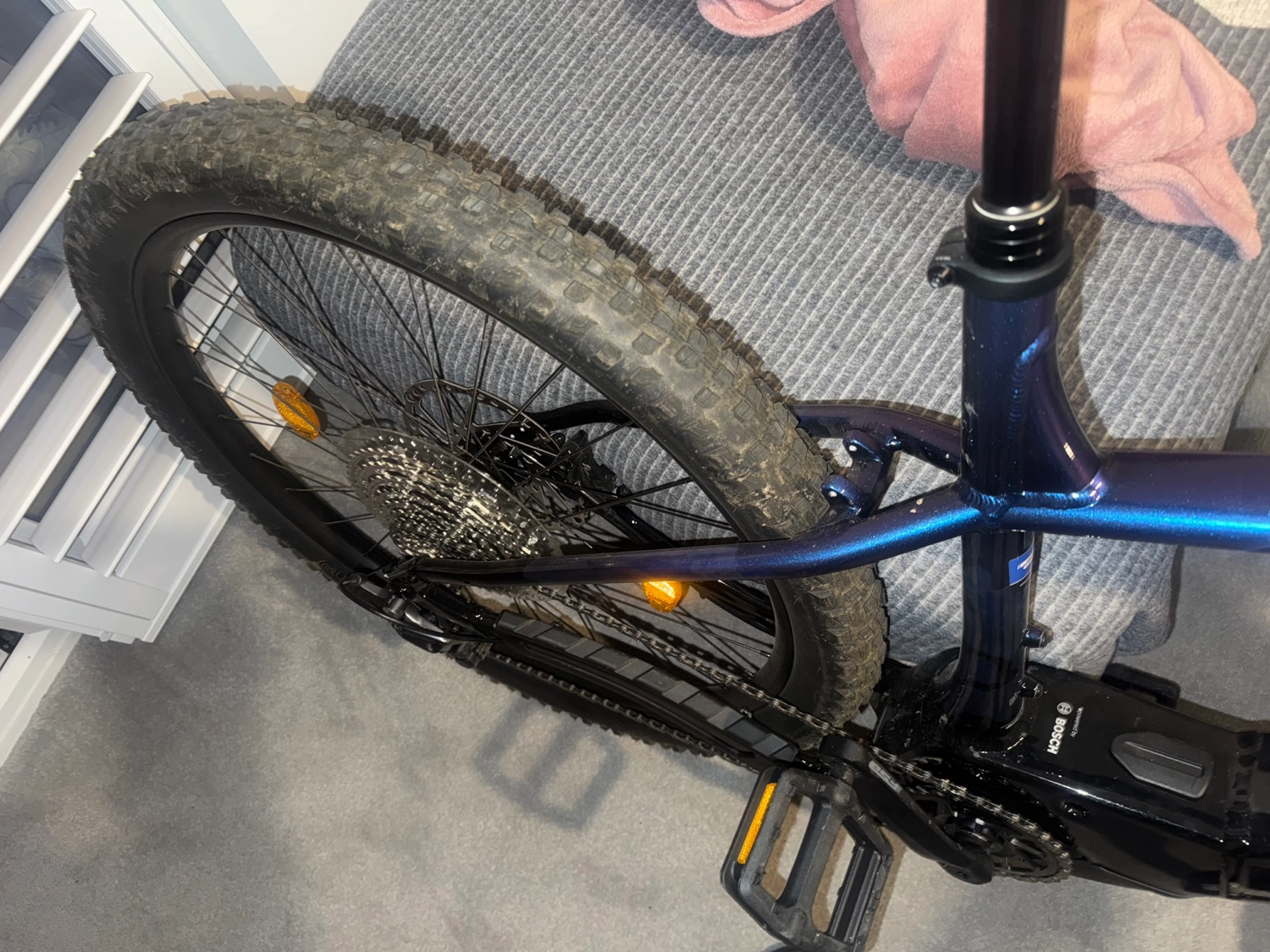 Trek Marlin  8 2024