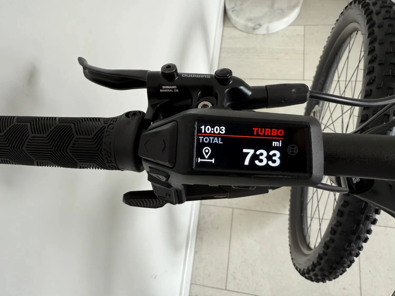 Trek Marlin  8 2024