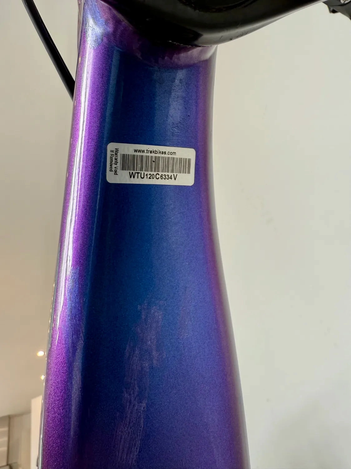 Trek Marlin  8 2024