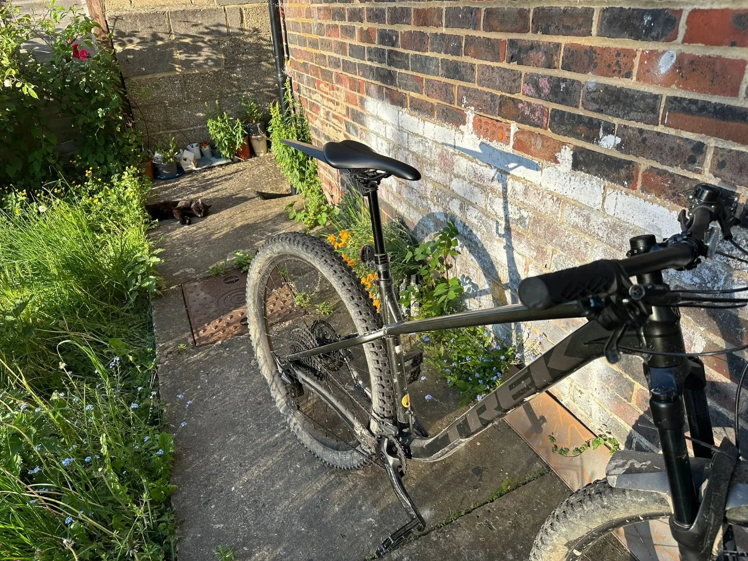Trek Roscoe 7 2024
