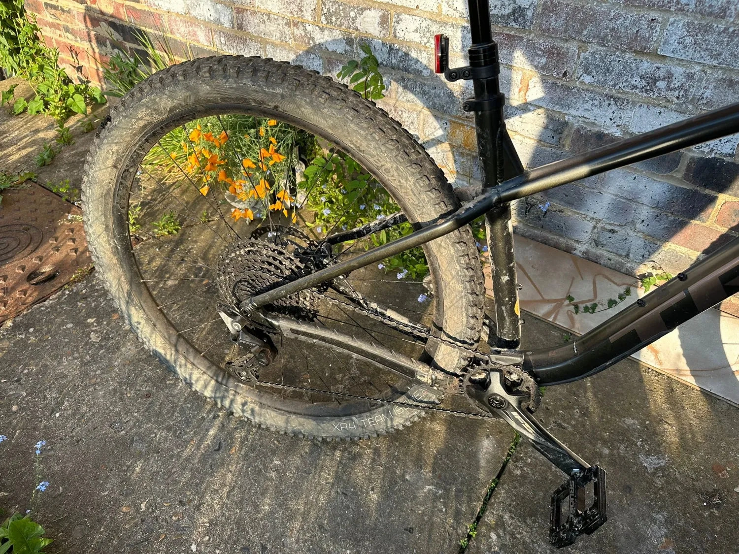 Trek Roscoe 7 2024