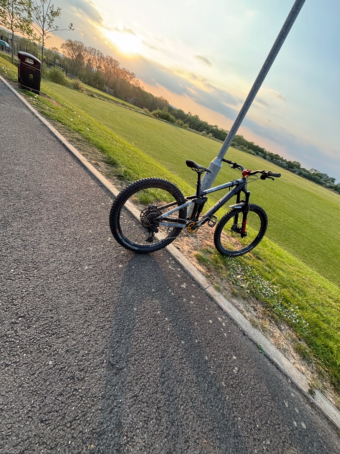 Trek Trek remedy 8 2018