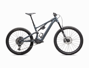 Turbo Levo SL 2 Comp Alloy (2025)