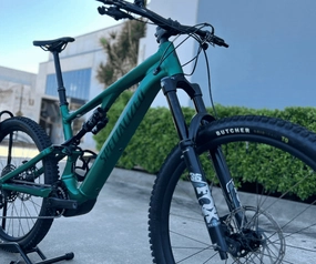 Turbo Levo SL Comp Alloy SATIN PINE GREEN / FOREST GREEN eBike