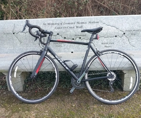 Vitus Razor VRX 2018