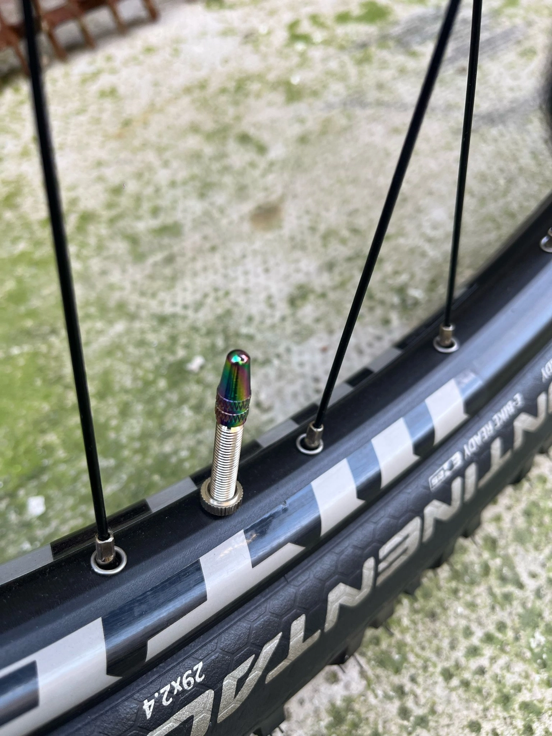 Voodoo Canzo Pro 2025