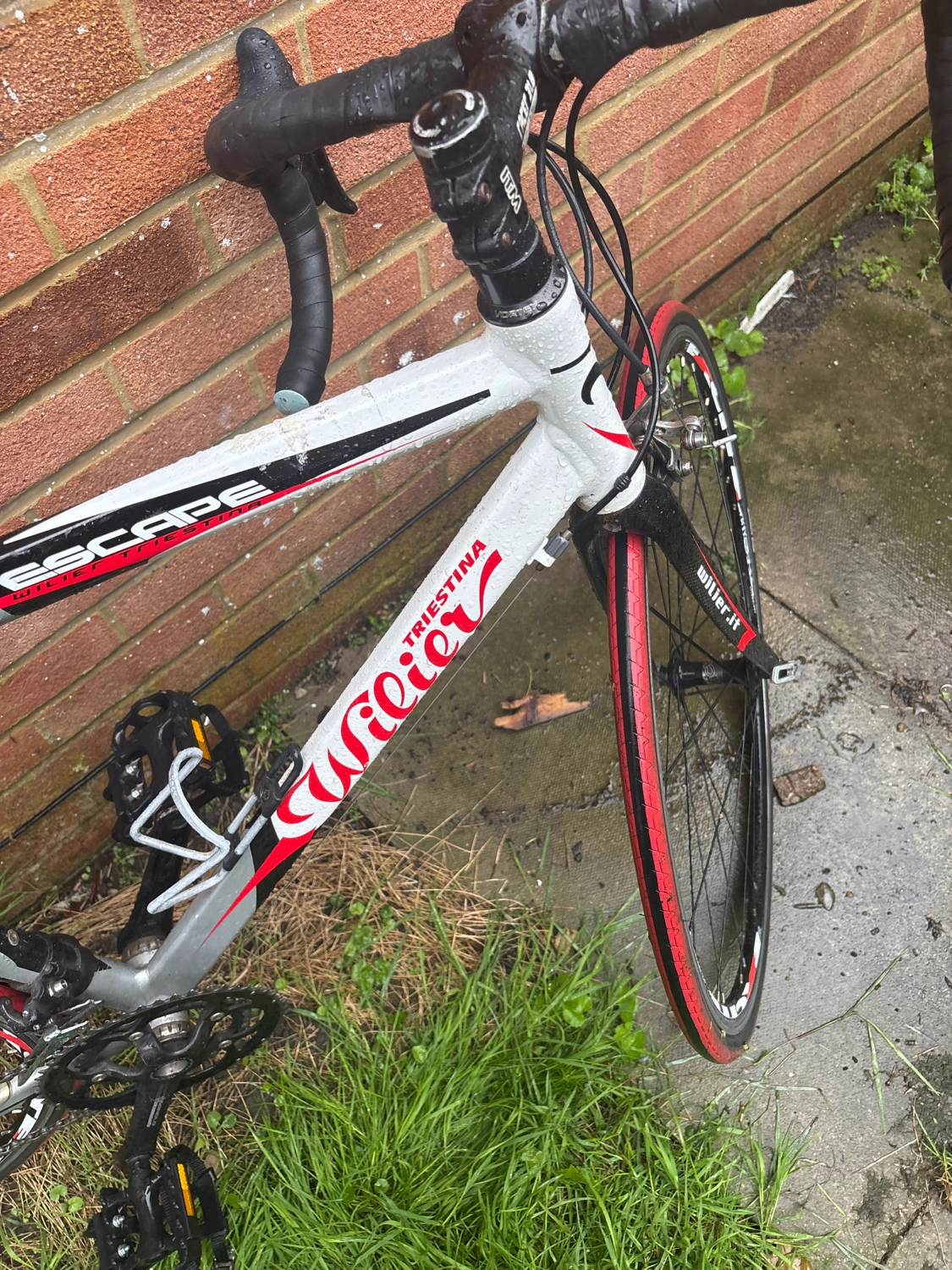 Wilier CENTO10 SL SHIMANO 105 R7000 (BR-R7010-F) 2021