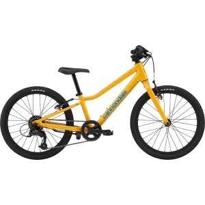 Youth Quick 20"