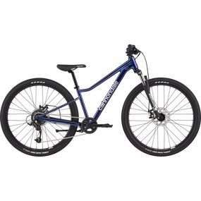 Youth Trail 26"