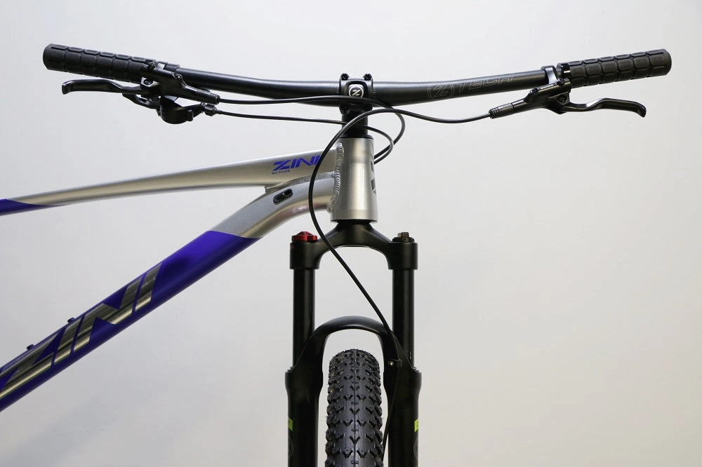 ZINI Z29 Sport (2025)